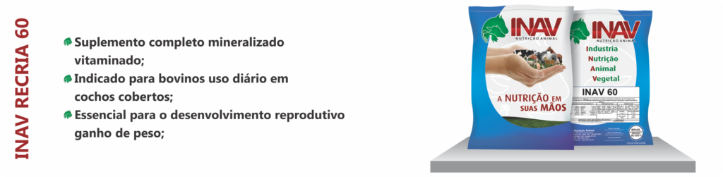 inav-recria60