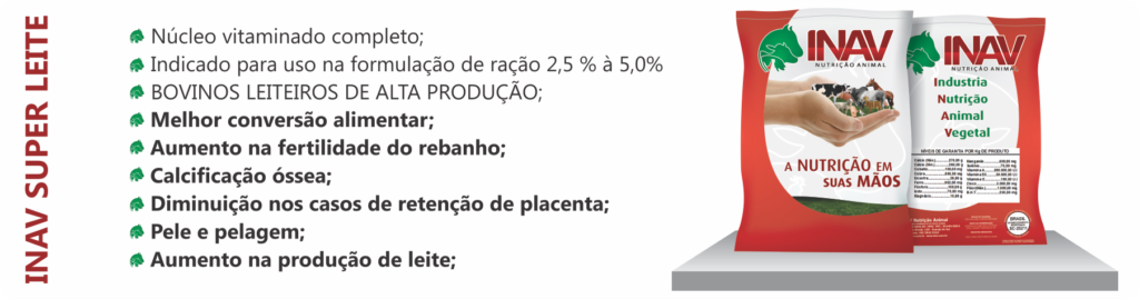 inav-super-leite
